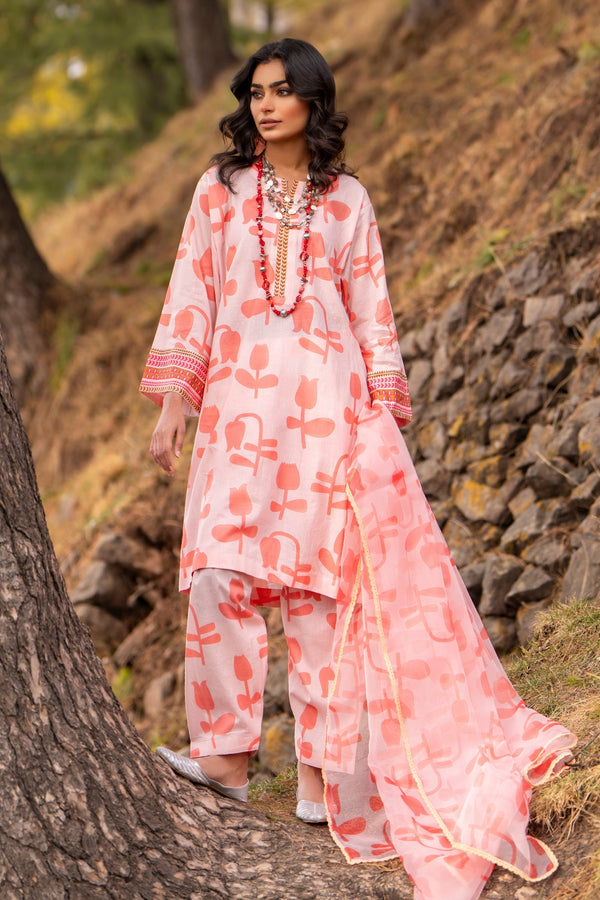 3 PC STITCHED | PRINTED LAWN SUIT