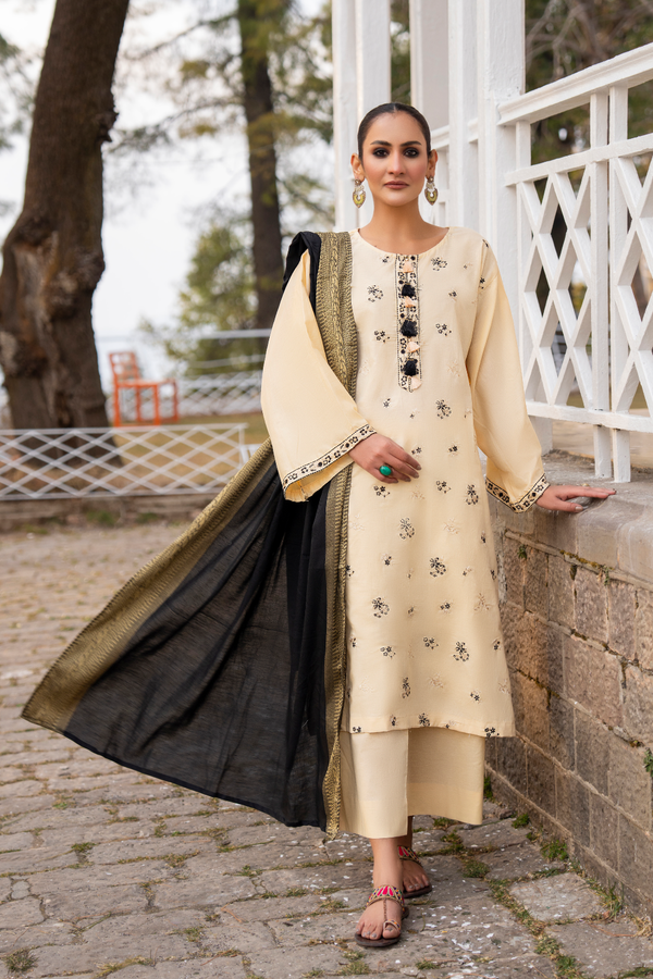 3PC Stitched | Emboridered Lawn Stitched Suit