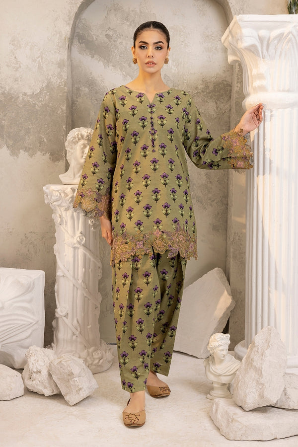 2PC STITCHED | EMBROIDERED KHADDAR SUIT