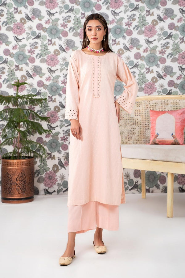 2PC Stitched | Embroidered Cotton Suit