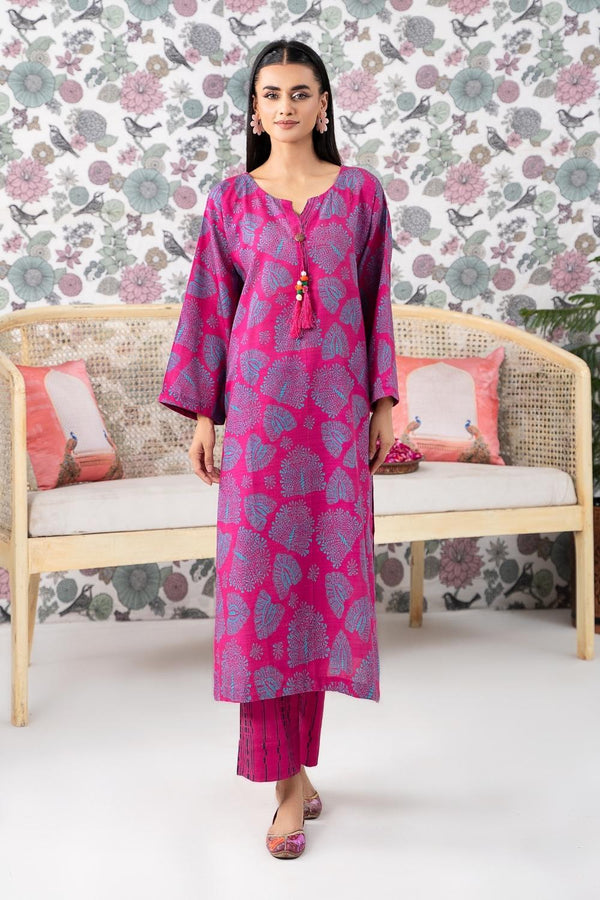 2PC Stitched |Printed Khaddar Suit