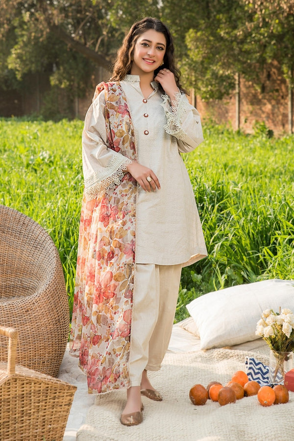 3 PC Stitched | Embroidered Shiffle Suit